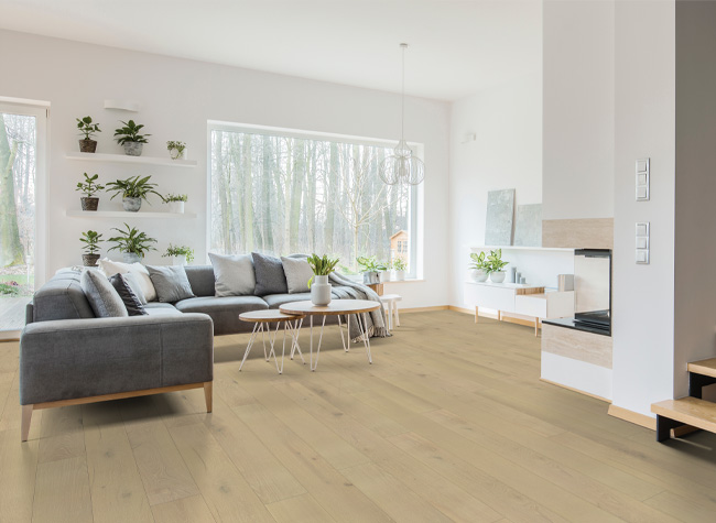 wood look vinyl plank flooring in living room with contemporary decor and plants