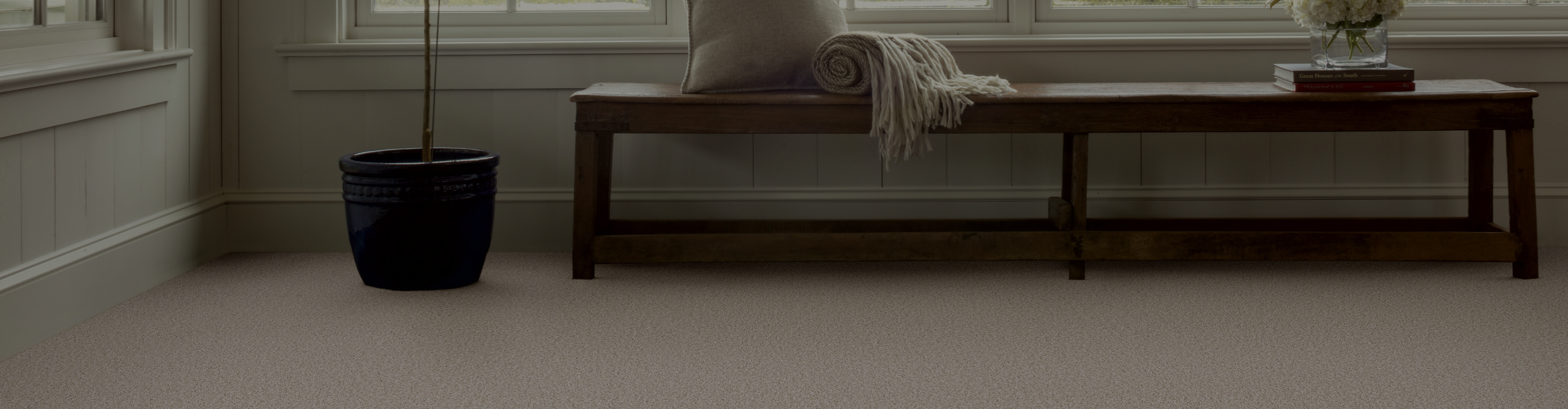 carpet flooring in living area