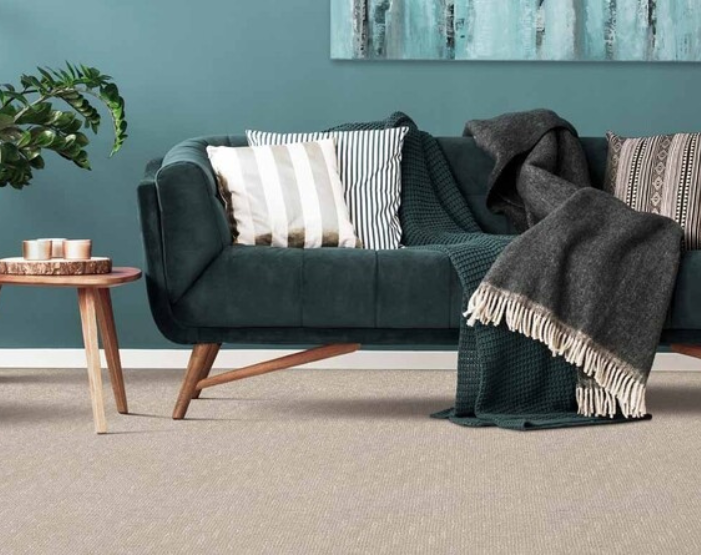 Carpet in living room