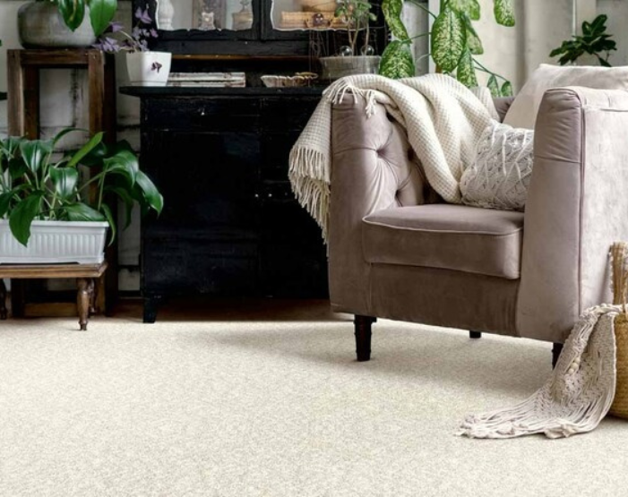 carpet in living room
