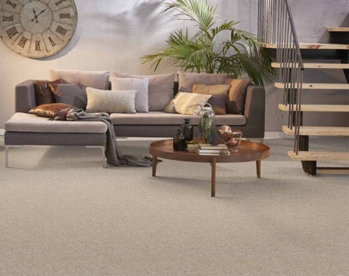 carpet in living room