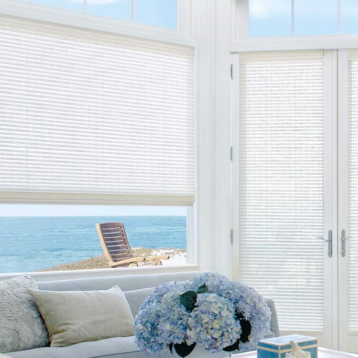 Window Treaments room scene