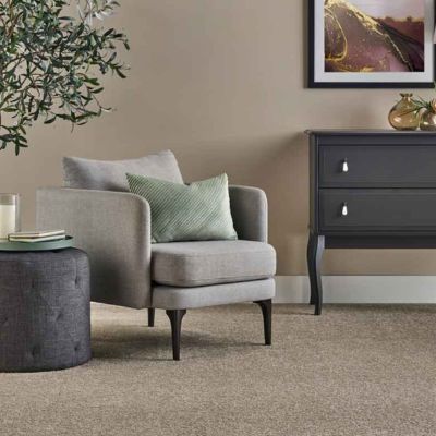 carpet in a living