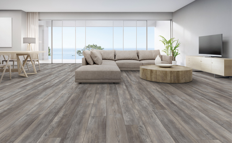 beach house flooring living room couch with tv